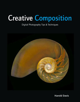 Creative Composition: Digital Photography Tips & Techniques