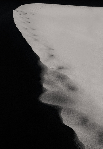 Dune by Harold Davis