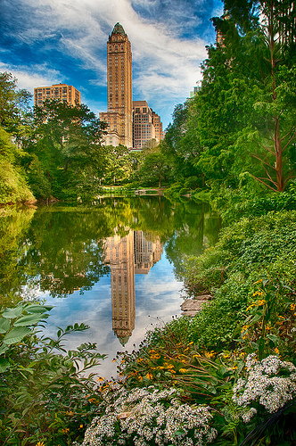 Central Park by Harold Davis