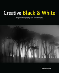 Creative Black & White by Harold Davis
