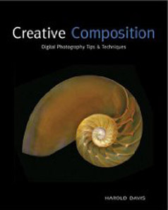 Creative Composition: Digital Tips & Techniques
