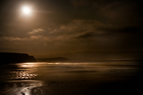 Drakes Bay by Moonlight by Harold Davis