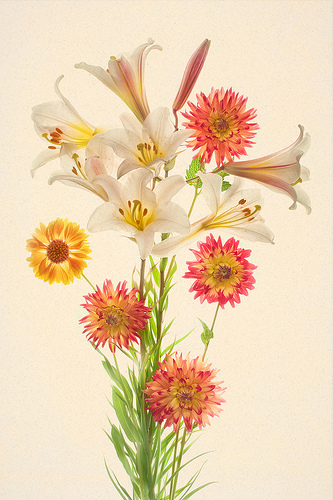 Easter Lilies, Dahlias, and a Gaillardia by Harold Davis