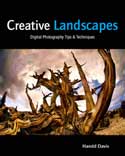Creative Landscapes: Digital Tips & Techniques