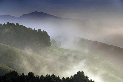 Morning in the Hills by Harold Davis