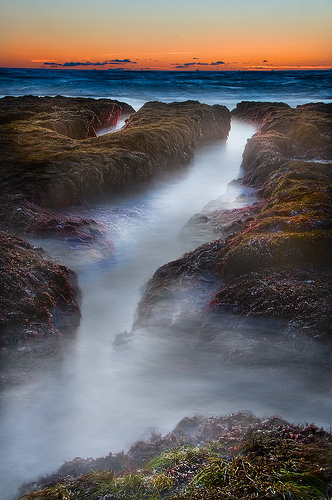 On Duxbury Reef by Harold Davis