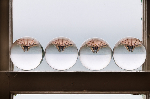 Optical Quality by Harold Davis