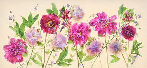 Peonies, Hydrangeas, and Campanulas by Harold Davis