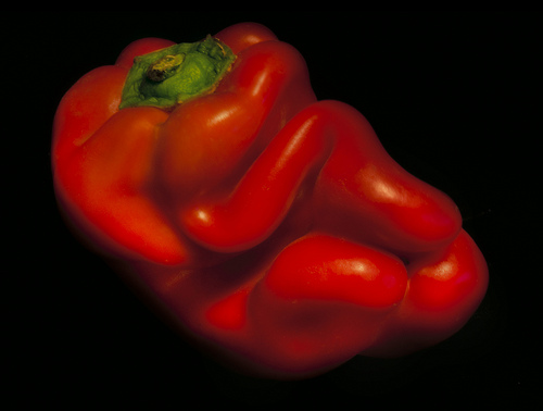 Red Pepper by Harold Davis
