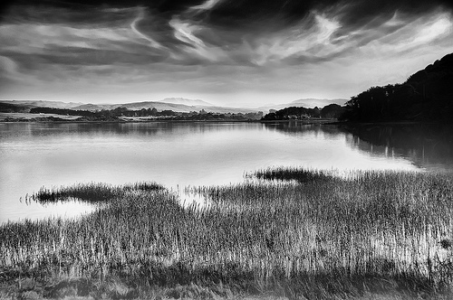 Tomales Bay by Harold Davis