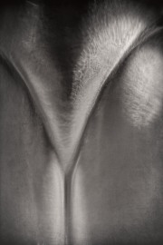 Curve #3