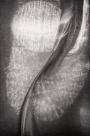 Curve #4