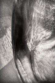 Curve #6