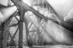 Bridge of Light