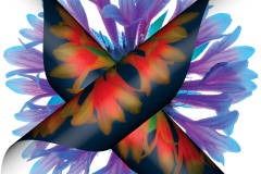 Gaillardia-gami © Harold Davis
