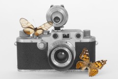 Leica IIIc and Butterflies © Harold Davis
