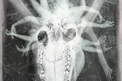 Life and Death © Harold Davis