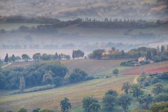 Morning Comes Softly © Harold Davis