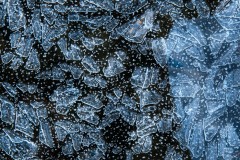 Skim Ice on the Merced © Harold Davis