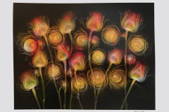 X-Ray Floral Medley Print © Harold Davis