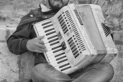 Accordion Player, Cefalu © Harold Davis