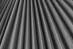 Frond © Harold Davis