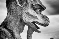 Gargoyle © Harold Davis