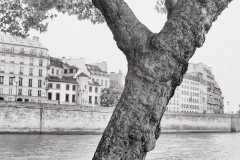 Ile de la Cite from Ile St-Louis © Harold Davis