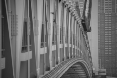 Rainbow Bridge, Tokyo © Harold Davis