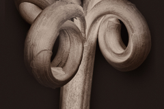 Tulip Petal Detail after Blossfeldt © Harold Davis