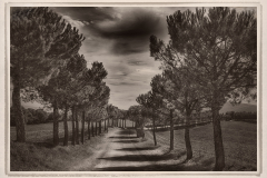 Tuscan Road © Harold Davis