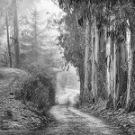 road-less-traveled1