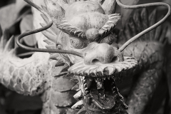 Temple Dragon © Harold Davis