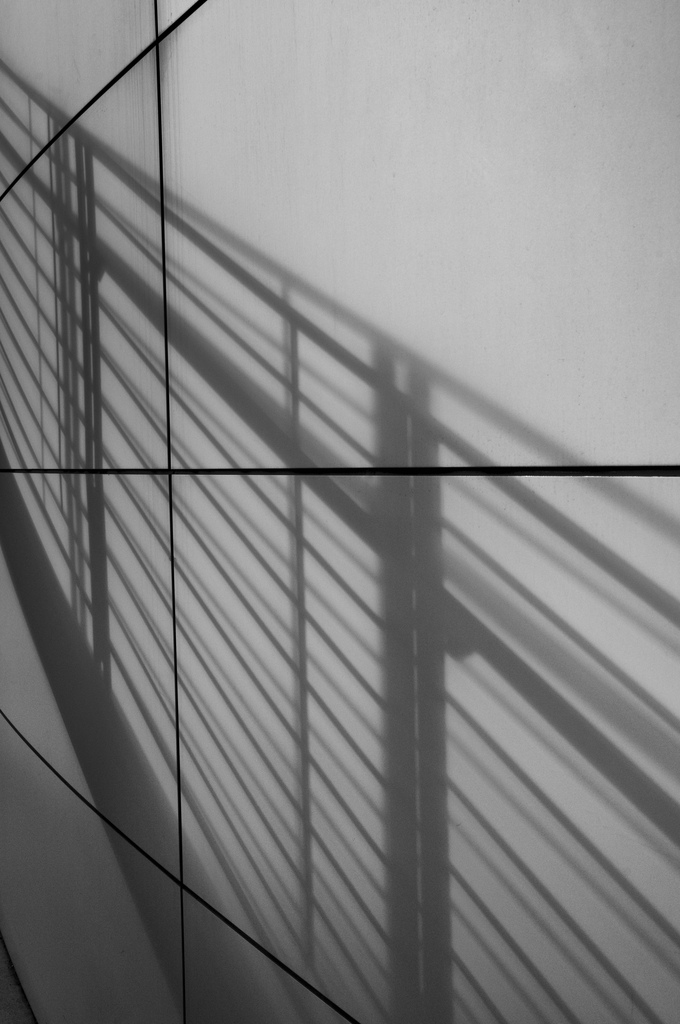 Lines_and_Shadows
