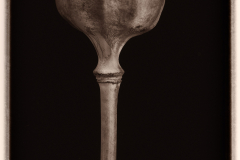 Papaver Seed Pod © Harold Davis