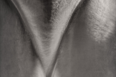 Curve #3