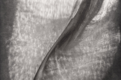 Curve #4