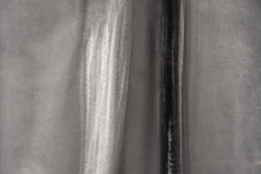 Curve #5