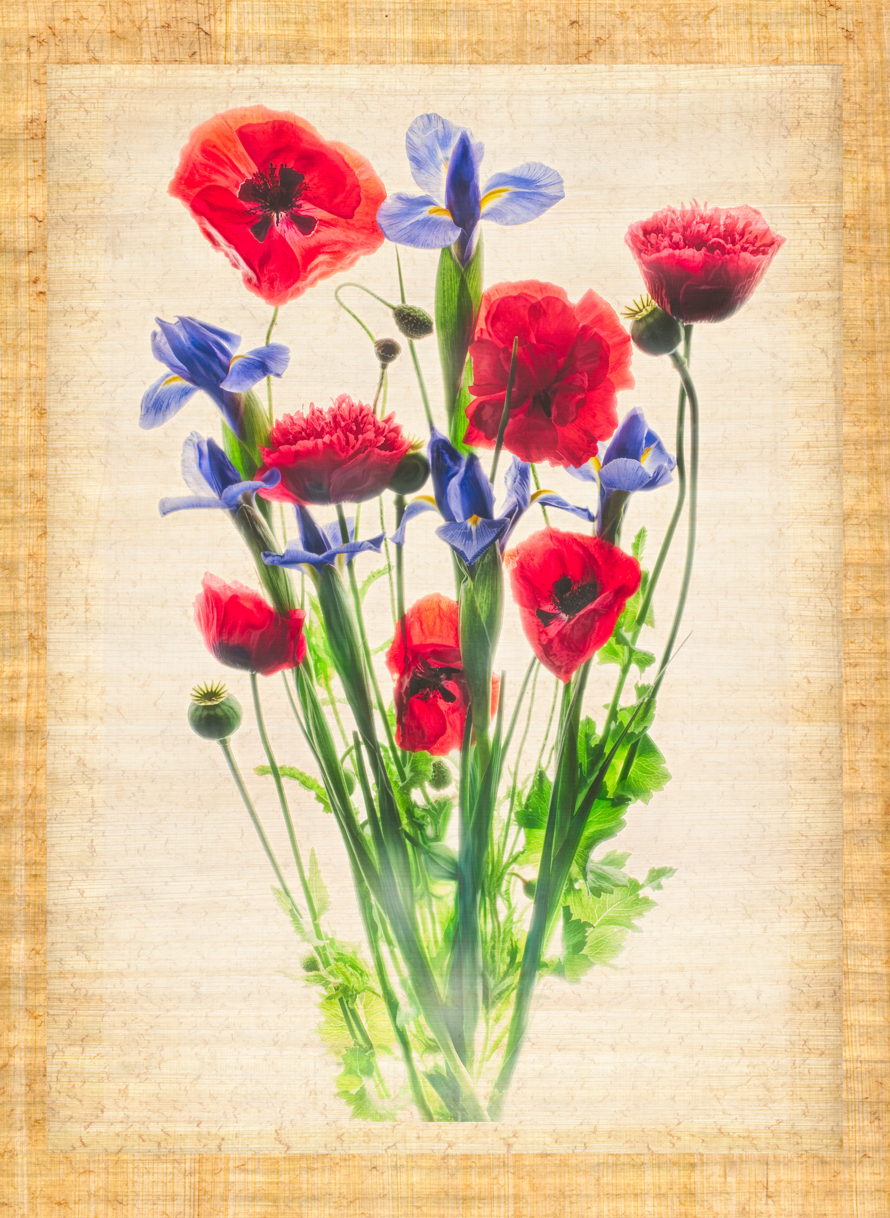 HLD-294_Poppies_and_Iris_on_Papyrus