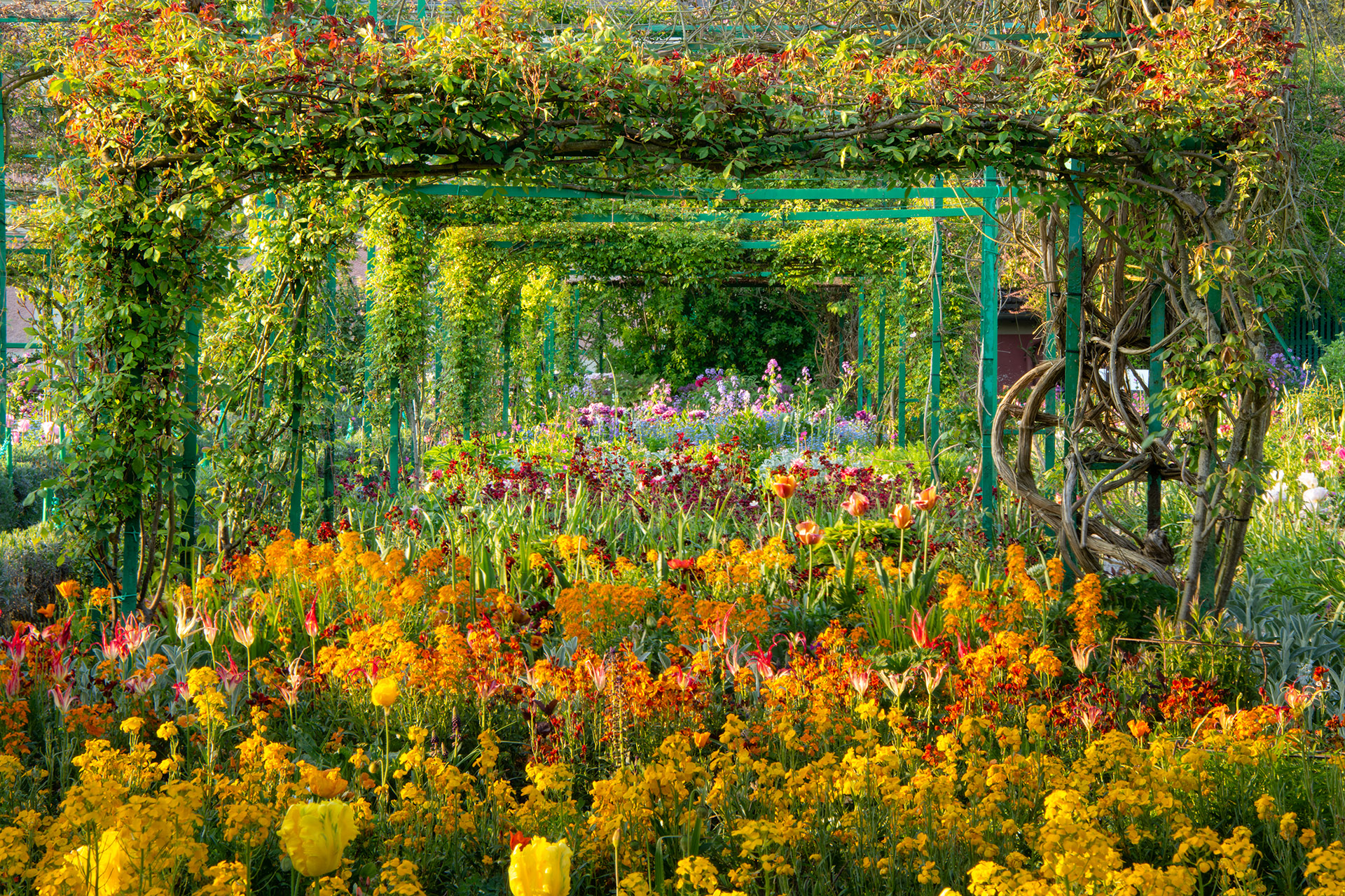 Flowers at Giverny © Harold Davis