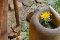 Garden at the Sakuraya © Harold Davis