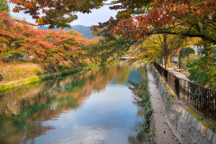 Kyoto Canal © Harold Davis