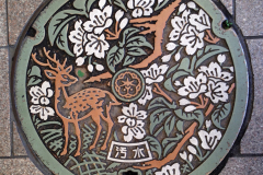 Nara Manhole Cover via iPhone © Harold Davis