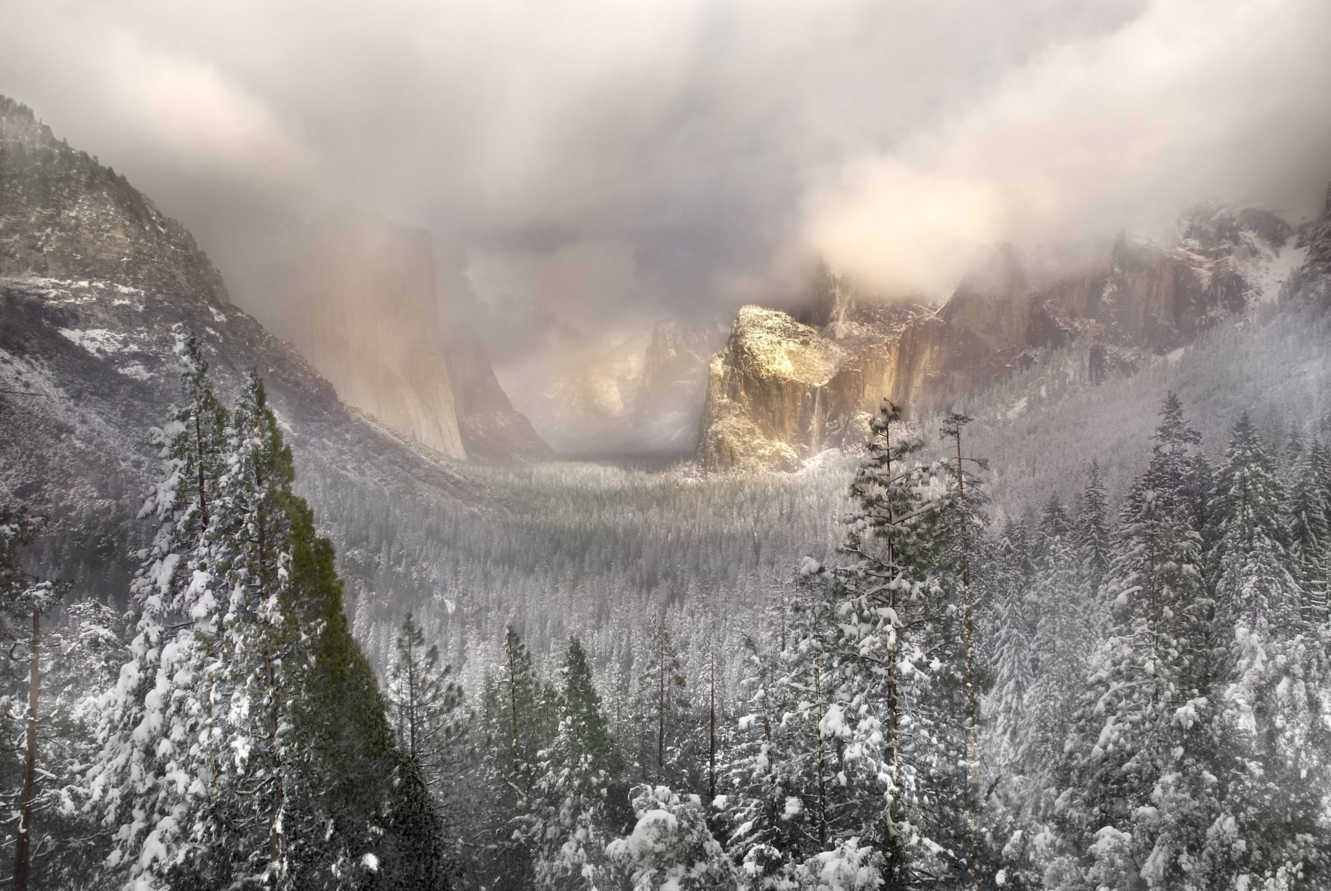 Snowstorm_in_Yosemite_1427