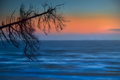 Dead Tree, Seascape, and Sunset © Harold Davis