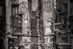 © Harold Davis