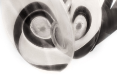 Optical Study 5 © Harold Davis