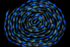 A Simple Twist of Fate 3 © Harold Davis