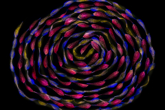 A Simple Twist of Fate 5 © Harold Davis