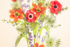 Bouquet for Phyllis © Harold Davis